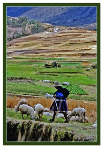 peru 23 (Small).jpg